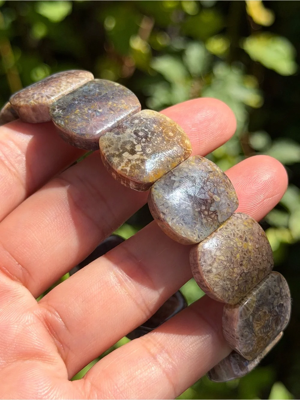 Handmade Fossil Coral Stretch Bracelet in Earth Tones Palo